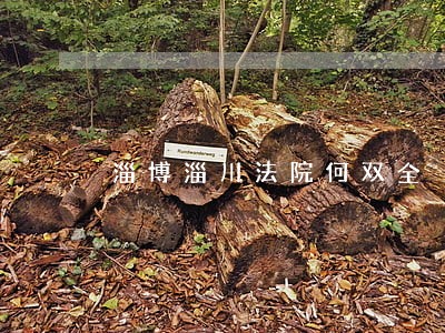 淄博淄川法院何双全
