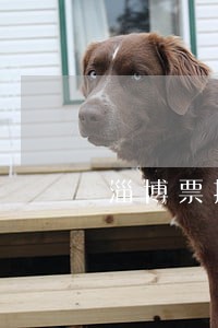 淄博票据在线律师 淄博票据在线律师