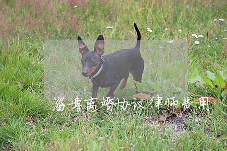 淄博离婚协议律师费用 淄博离婚协议律师费用