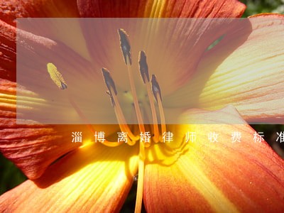 淄博离婚律师收费标准 淄博离婚律师收费标准