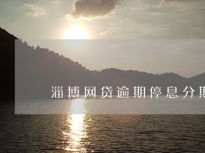 淄博网贷逾期停息分期怎么协商