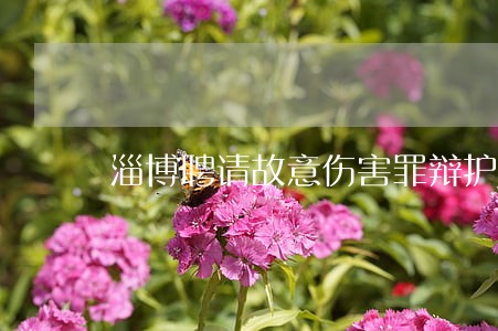 淄博聘请故意伤害罪辩护律师费用 淄博聘请故意伤害罪辩护律师费用