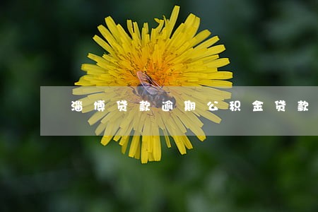 淄博贷款逾期公积金贷款 淄博贷款逾期公积金贷款