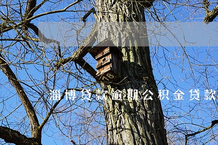 淄博贷款逾期公积金贷款利率 淄博贷款逾期公积金贷款利率