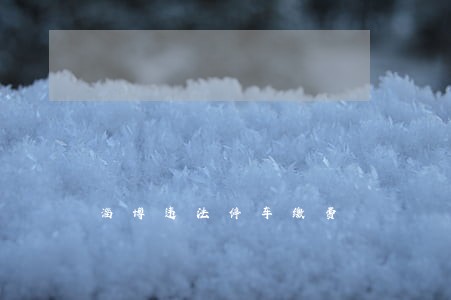 淄博违法停车缴费