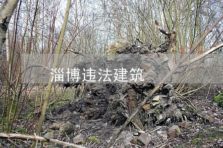 淄博违法建筑 淄博违法建筑