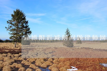 淄博附近减刑问题律师网站 淄博附近减刑问题律师网站