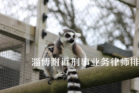 淄博附近刑事业务律师排名 淄博附近刑事业务律师排名
