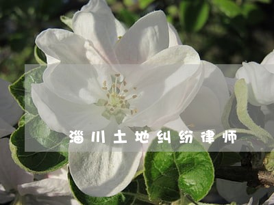 淄川土地纠纷律师 淄川土地纠纷律师