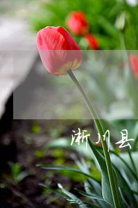 淅川县海事海商在线律师 淅川县海事海商在线律师