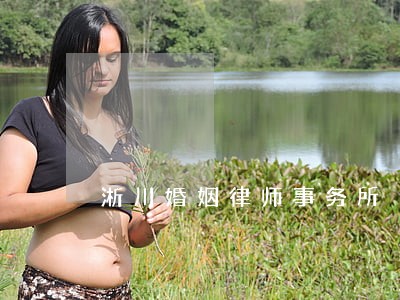 淅川婚姻律师事务所 淅川婚姻律师事务所
