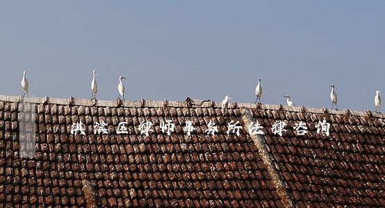 淇滨区律师事务所法律咨询 淇滨区律师事务所法律咨询