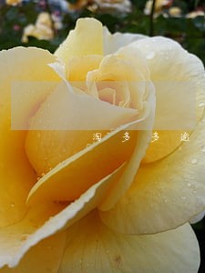 淘多多逾期没有逾期费 淘多多逾期没有逾期费