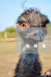 淘奇宝贷款逾期 淘奇宝贷款逾期