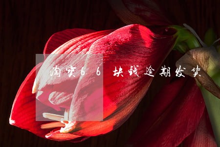 淘宝66块钱逾期发货