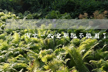 淘宝一次逾期就不能用了