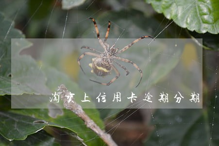 淘宝上信用卡逾期分期 淘宝上信用卡逾期分期