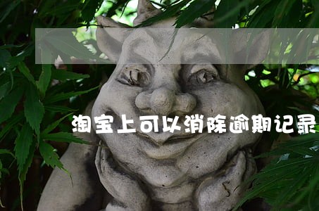 淘宝上可以消除逾期记录的 淘宝上可以消除逾期记录的