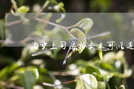 淘宝上司法拍卖车可以过户吗 淘宝上司法拍卖车可以过户吗