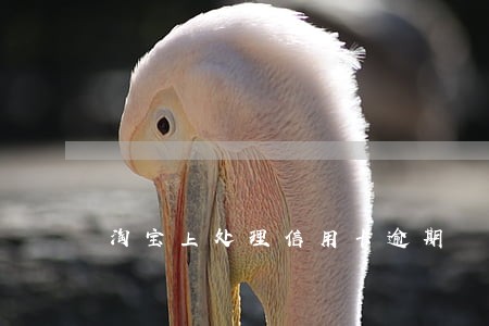 淘宝上处理信用卡逾期