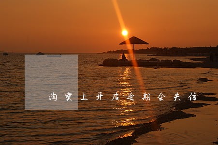 淘宝上开店逾期会失信 淘宝上开店逾期会失信