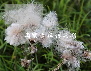 淘宝上征信逾期 淘宝上征信逾期