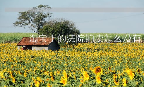 淘宝上的法院拍卖怎么没有了