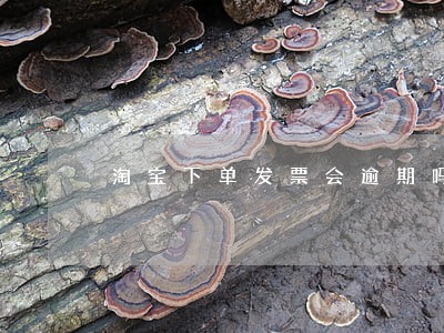 淘宝下单发票会逾期吗 淘宝下单发票会逾期吗