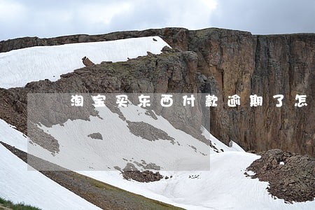 淘宝买东西付款逾期了怎么办 淘宝买东西付款逾期了怎么办