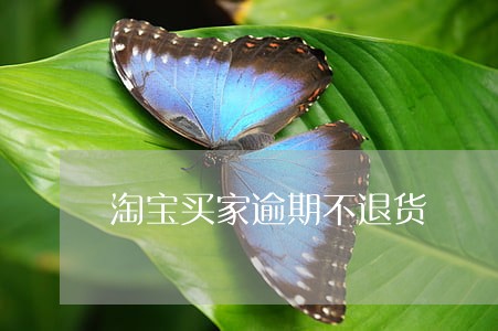 淘宝买家逾期不退货 淘宝买家逾期不退货