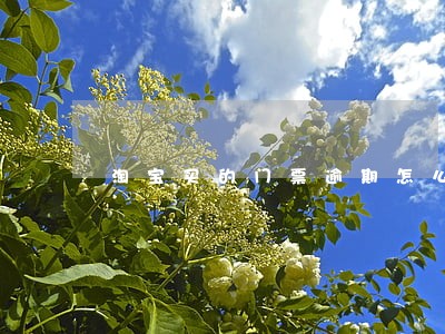 淘宝买的门票逾期怎么办 淘宝买的门票逾期怎么办