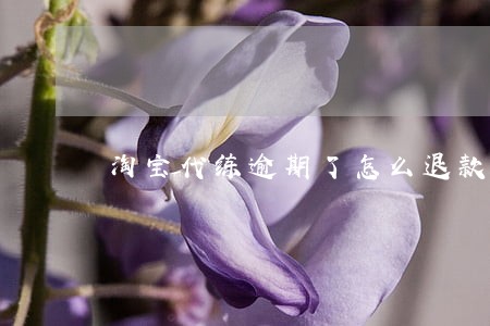 淘宝代练逾期了怎么退款 淘宝代练逾期了怎么退款