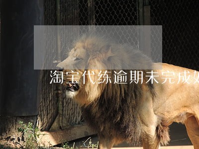 淘宝代练逾期未完成如何退款 淘宝代练逾期未完成如何退款