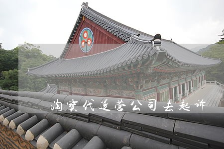 淘宝代运营公司去起诉