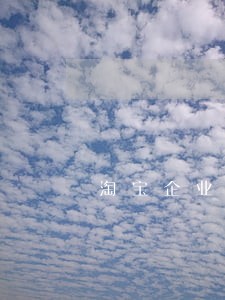淘宝企业店网商贷逾期 淘宝企业店网商贷逾期
