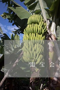 淘宝会员什么逾期要扣费吗 淘宝会员什么逾期要扣费吗