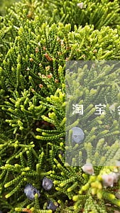 淘宝会被司法执行吗 淘宝会被司法执行吗