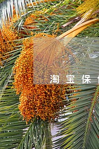 淘宝保健品宣传功效算违法吗 淘宝保健品宣传功效算违法吗