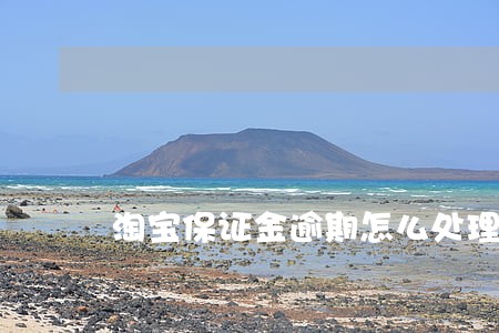 淘宝保证金逾期怎么处理 淘宝保证金逾期怎么处理