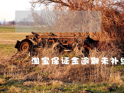 淘宝保证金逾期未补缴有什么影响 淘宝保证金逾期未补缴有什么影响