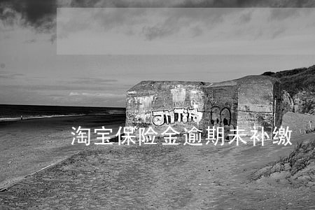 淘宝保险金逾期未补缴 淘宝保险金逾期未补缴