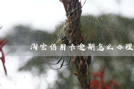 淘宝信用卡逾期怎么办理 淘宝信用卡逾期怎么办理