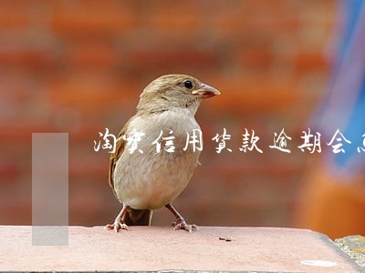淘宝信用货款逾期会怎么办 淘宝信用货款逾期会怎么办