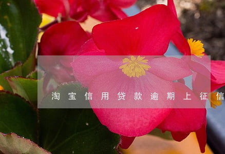 淘宝信用贷款逾期上征信