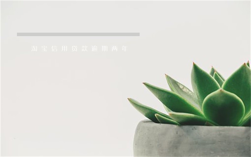 淘宝信用贷款逾期两年 淘宝信用贷款逾期两年