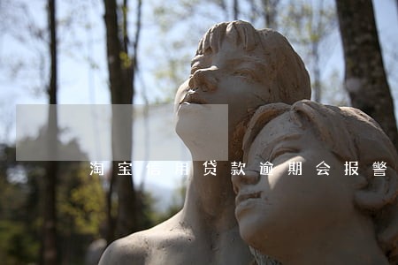 淘宝信用贷款逾期会报警吗 淘宝信用贷款逾期会报警吗
