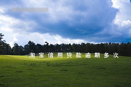 淘宝信用贷款逾期多次 淘宝信用贷款逾期多次