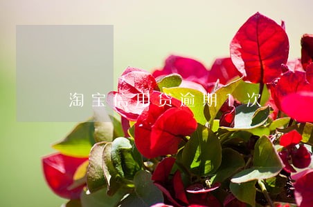 淘宝信用贷逾期1次 淘宝信用贷逾期1次