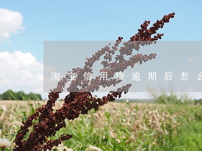 淘宝信用贷逾期后怎么还款 淘宝信用贷逾期后怎么还款