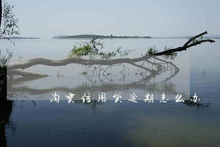 淘宝信用贷逾期怎么办 淘宝信用贷逾期怎么办